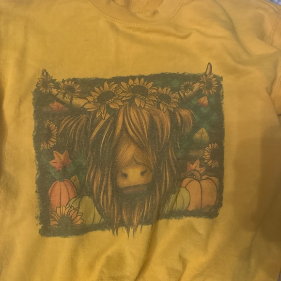 Red Plaid Jacket, Yellow Graphic Sweatshirt, Blue Patterned Jacket - Picture 2 of 4